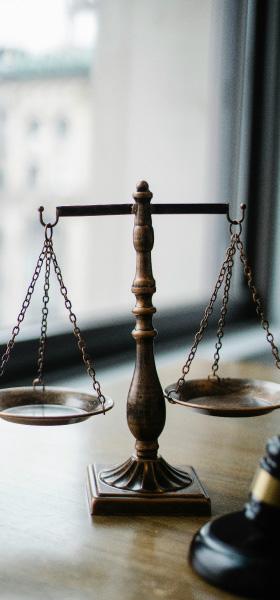 Legal <br> consultants